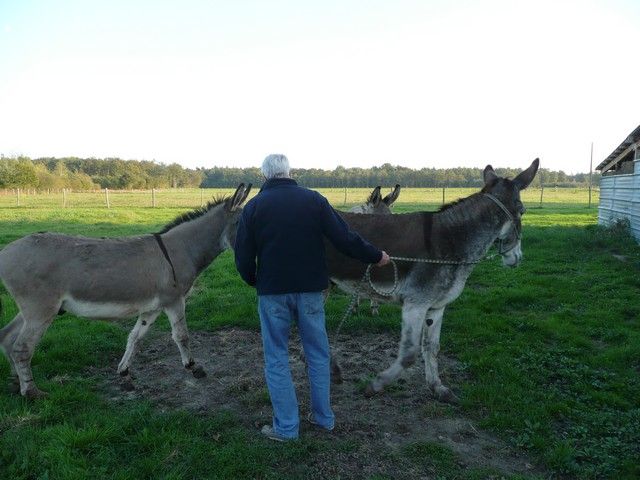 Balthazar et leonard Arrivee (17).jpg